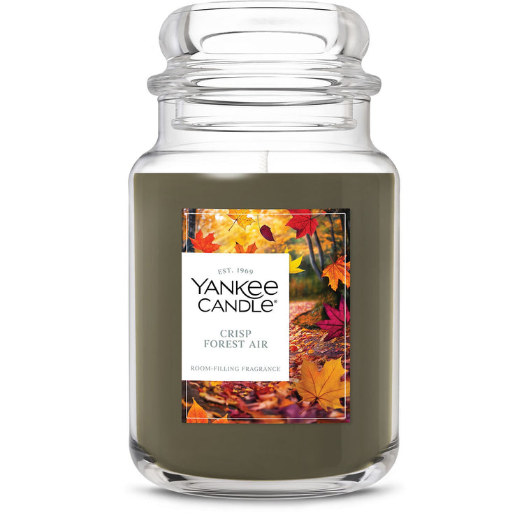 Crisp Forest Air Original Large Jar Candle B8